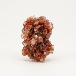 Earth Bloom Ring
